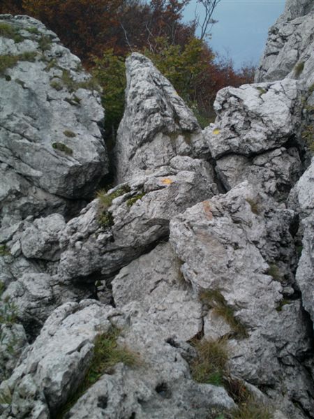 image101