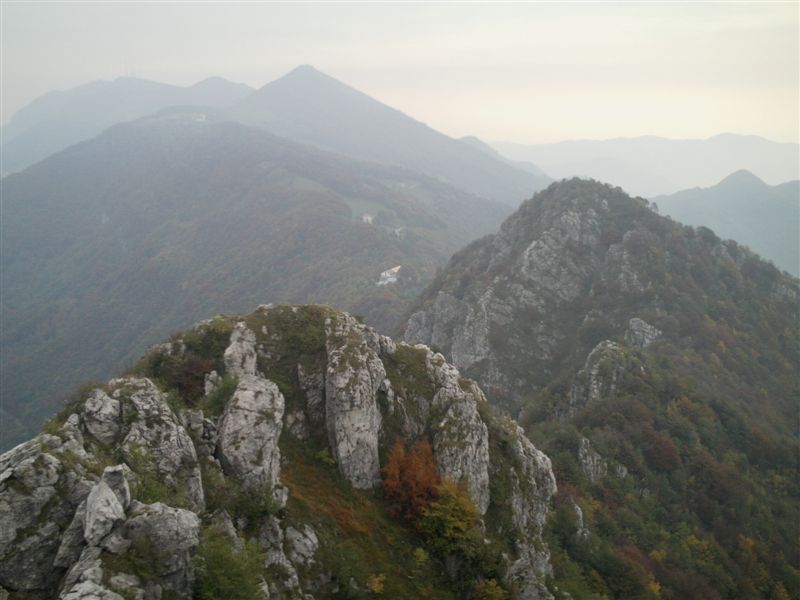image113