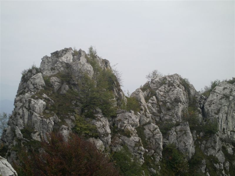 image114