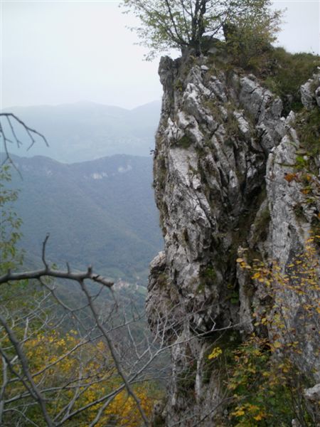 image13