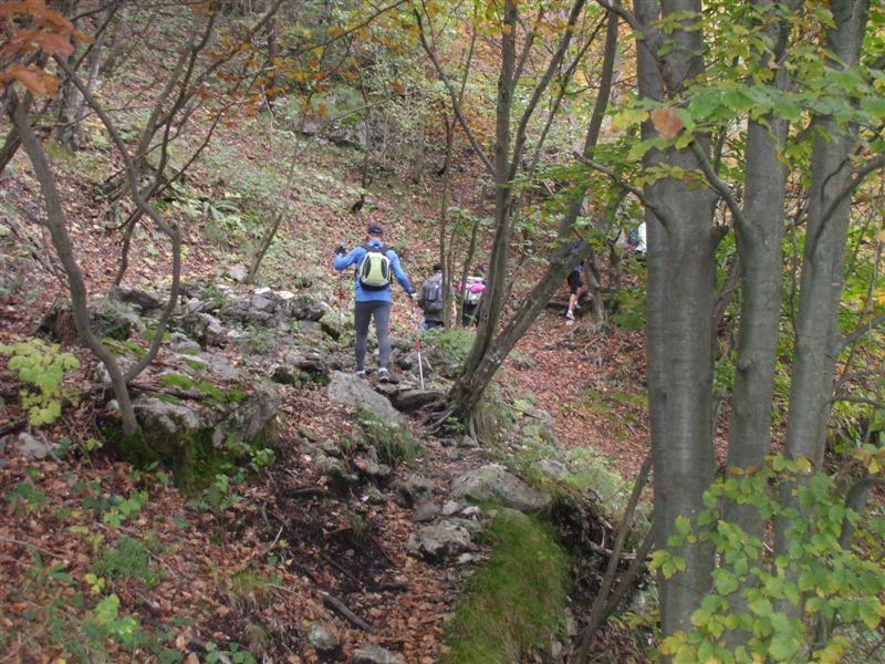 image18