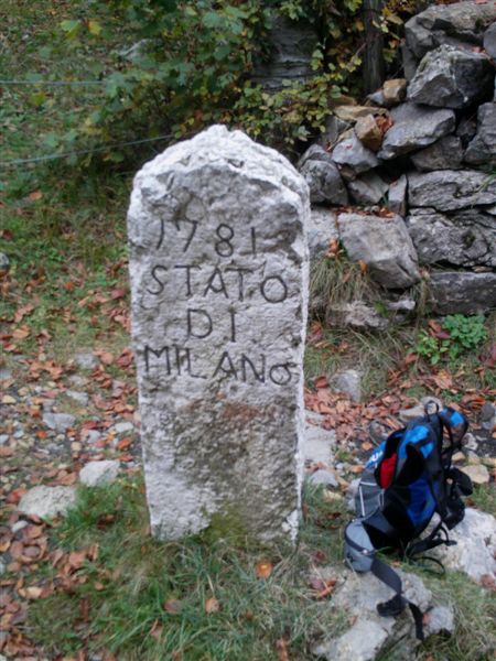 image24