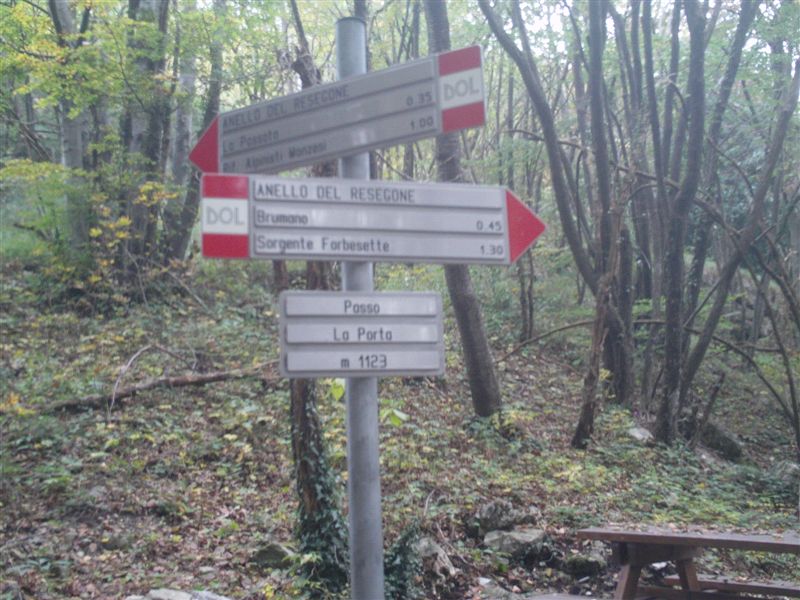 image31