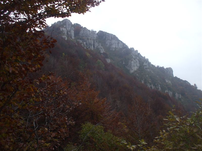 image37