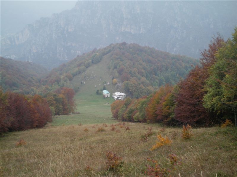 image48