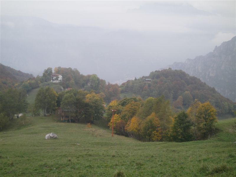 image49