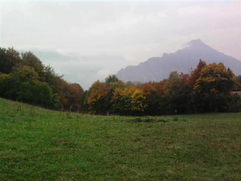 image52