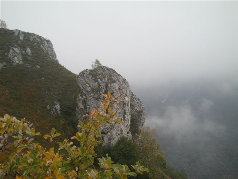 image57