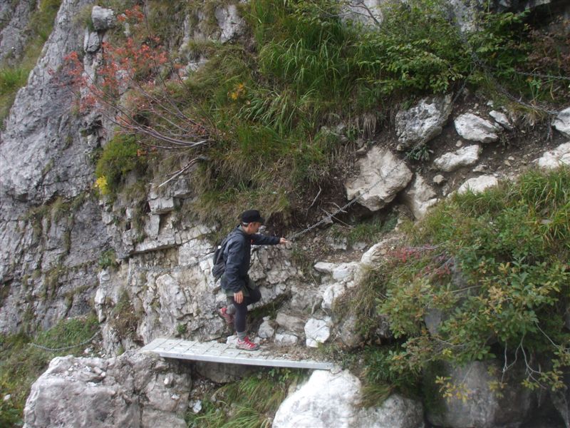image66