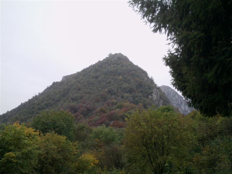 image8