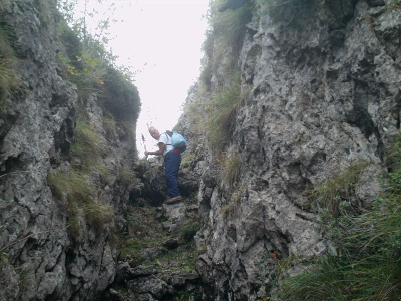 image83