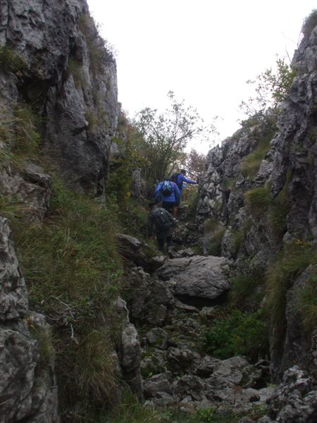 image84