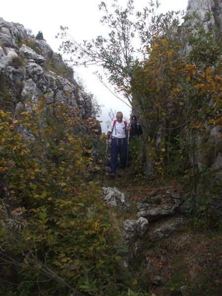 image85