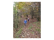 thumbnail22