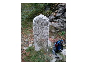 thumbnail24