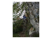 thumbnail62