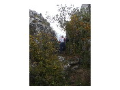 thumbnail85