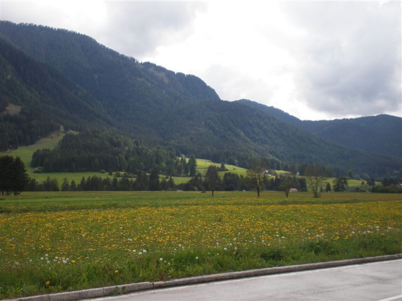 image35