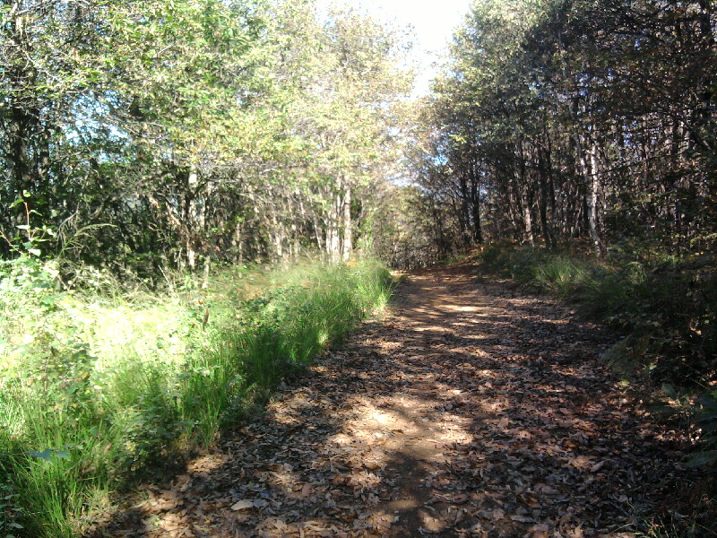 image12