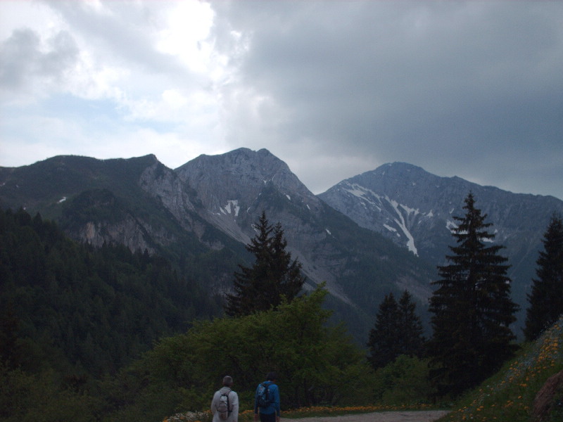 image35