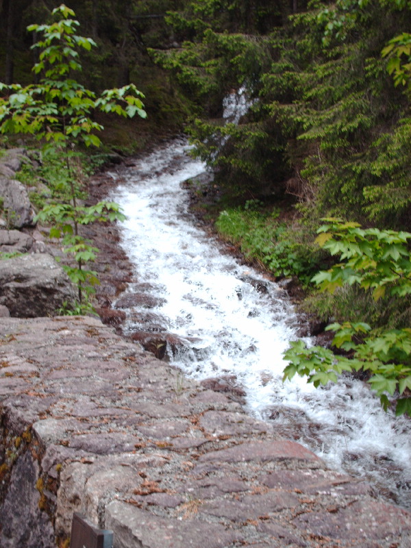 image36