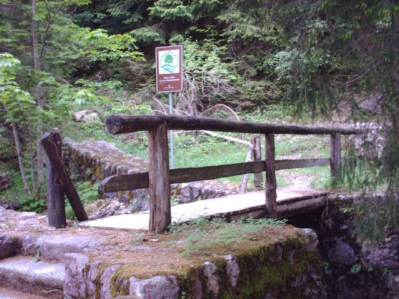 image37