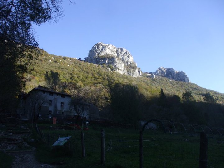 image12