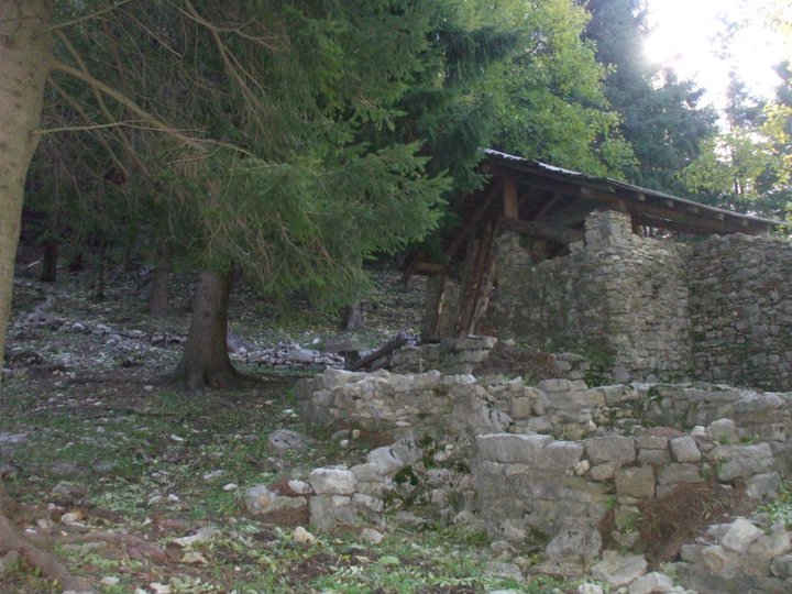 image19