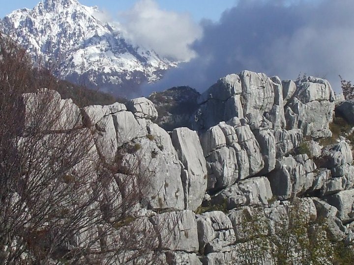 image27