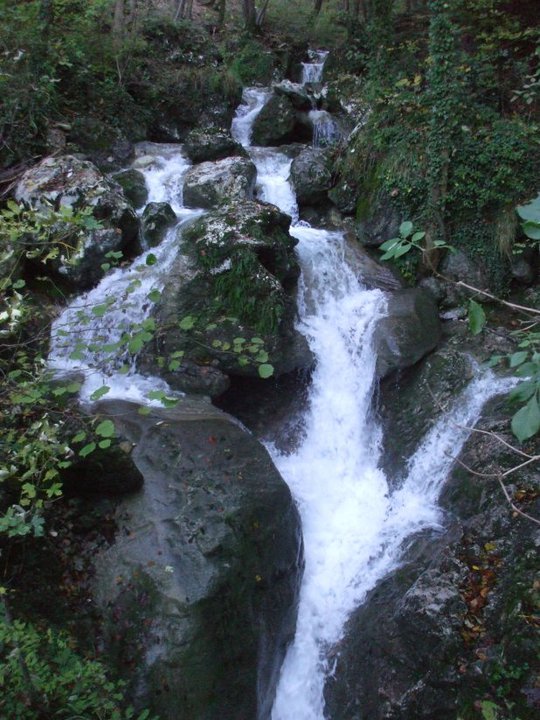 image9