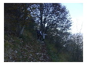 thumbnail15