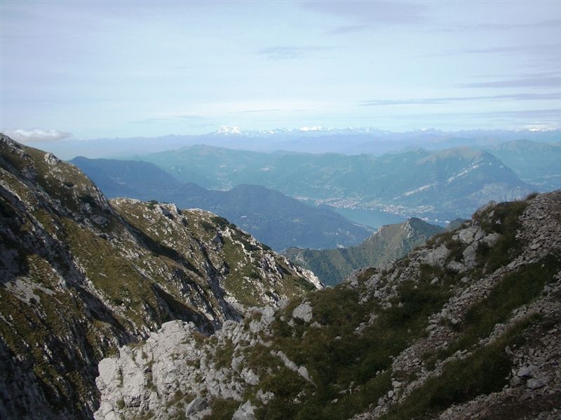 image16