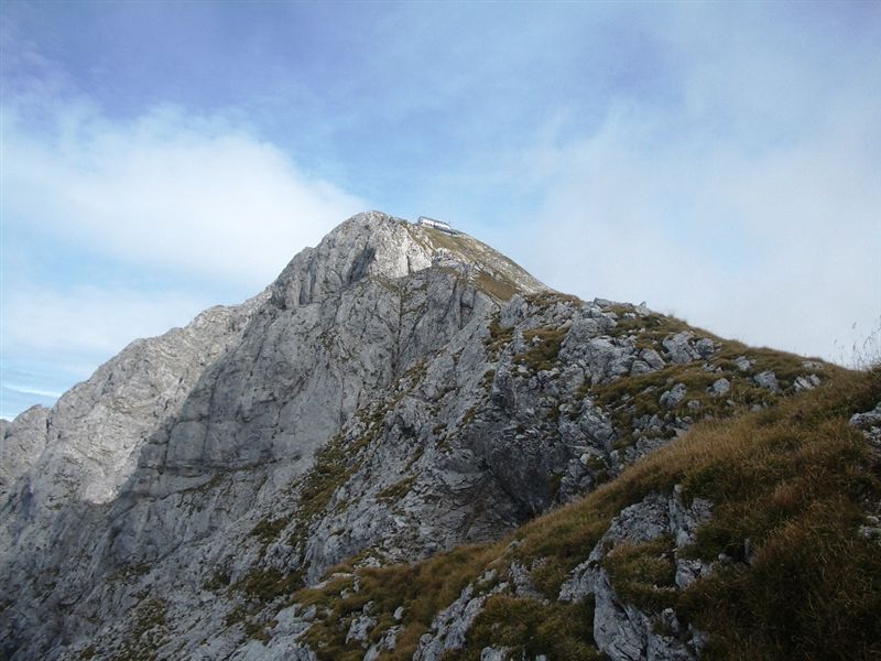 image26
