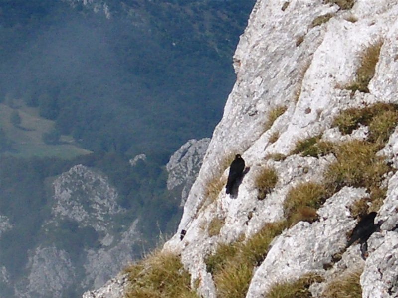 image34
