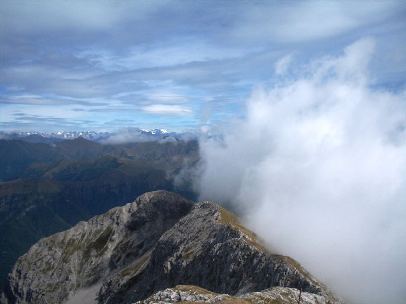 image35