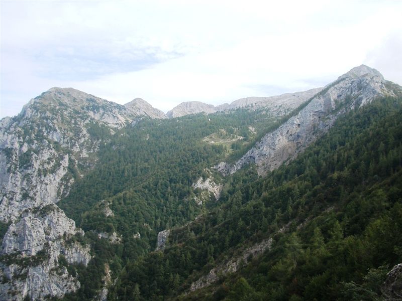 image47