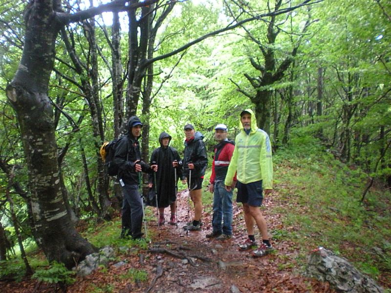 image12