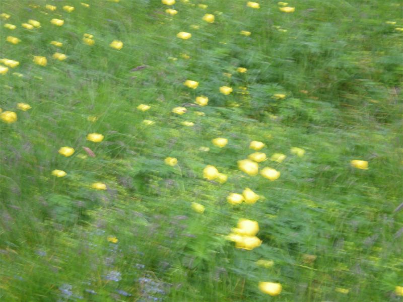image16