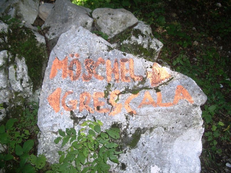 image10