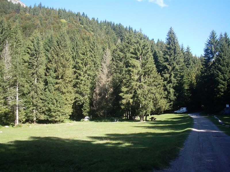 image11
