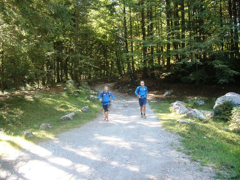 image12