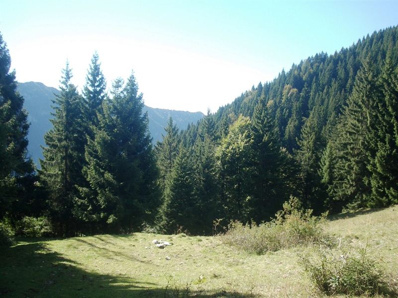 image23