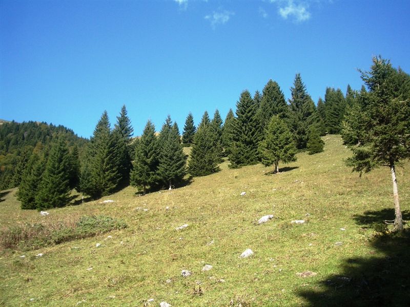 image24