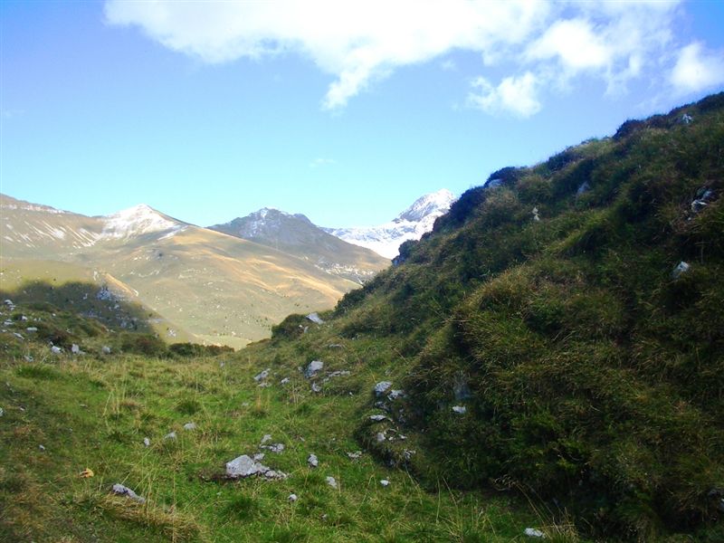 image31
