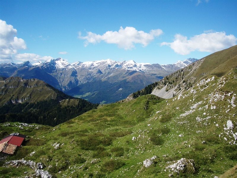 image33