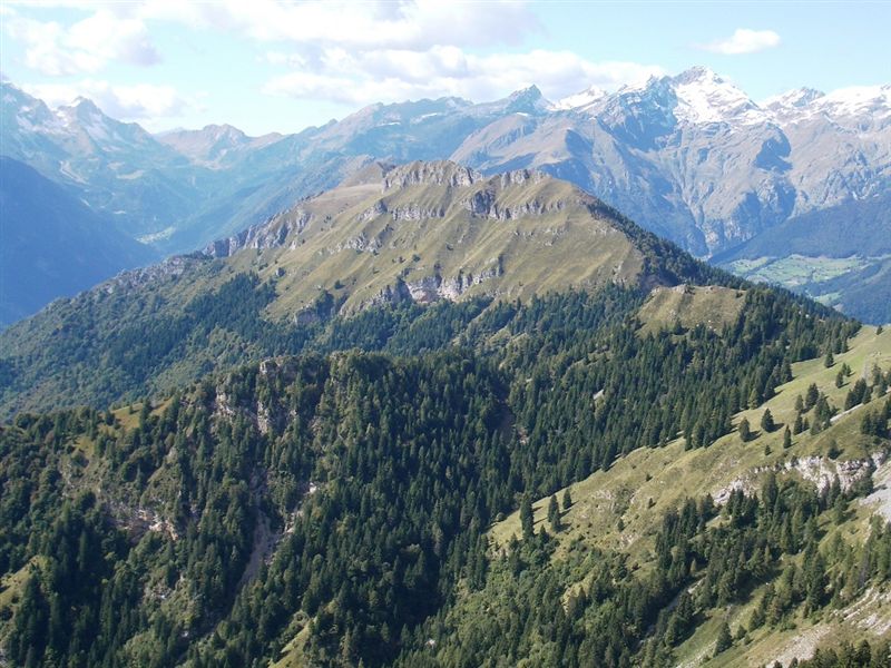 image35