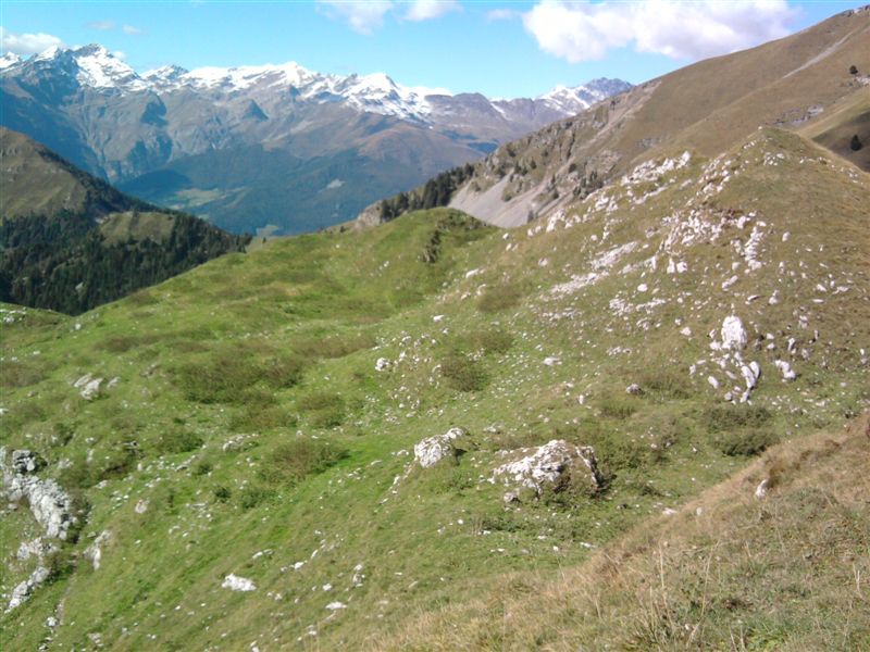 image39