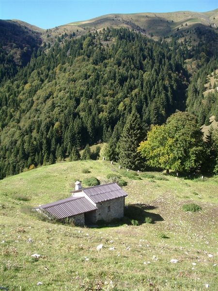 image43