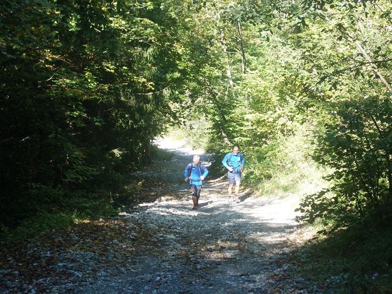 image6