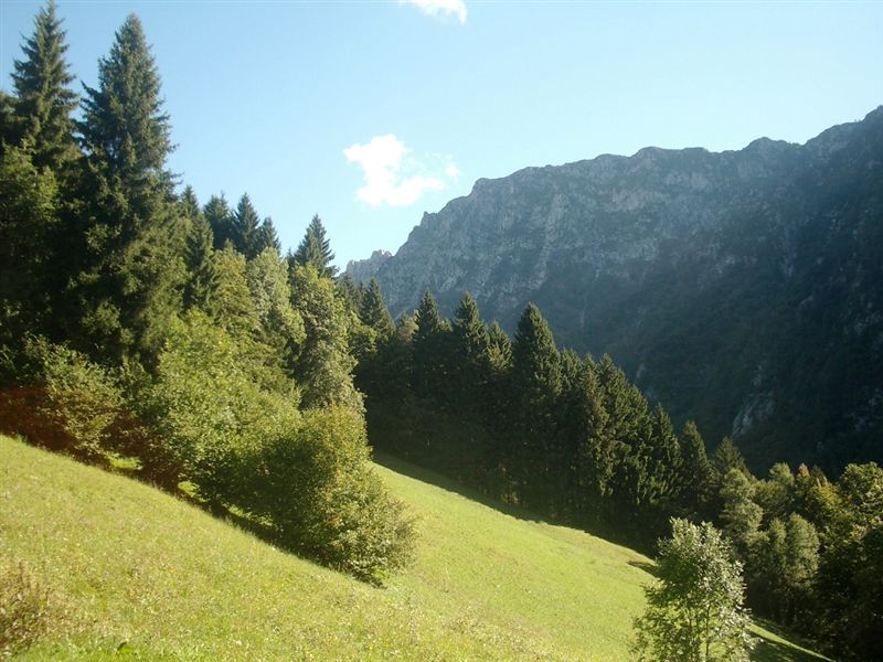 image8